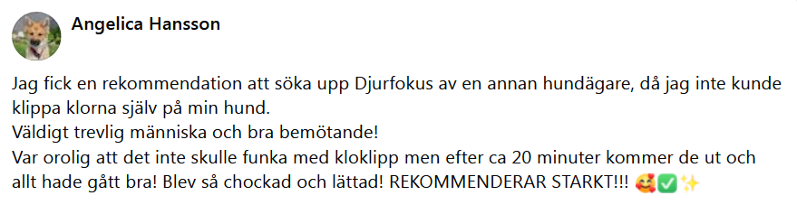 Hr skulle det ha synts en recension men ngot gick snett