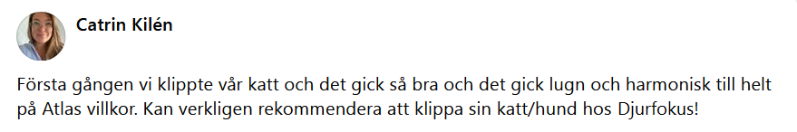 Hr skulle det ha synts en recension men ngot gick snett