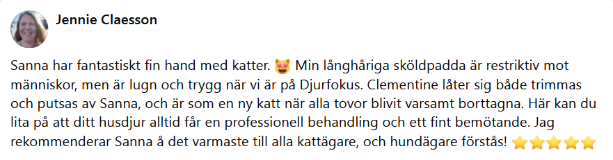 Hr skulle det ha synts en recension men ngot gick snett