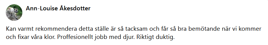 H�r skulle det ha synts en recension men n�got gick snett