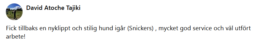 H�r skulle det ha synts en recension men n�got gick snett