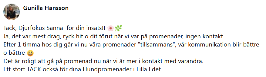 H�r skulle det ha synts en recension men n�got gick snett