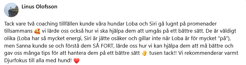 H�r skulle det ha synts en recension men n�got gick snett