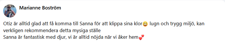 H�r skulle det ha synts en recension men n�got gick snett