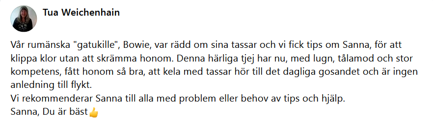 H�r skulle det ha synts en recension men n�got gick snett