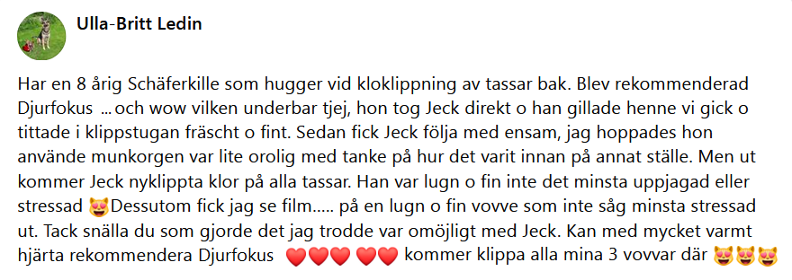 H�r skulle det ha synts en recension men n�got gick snett